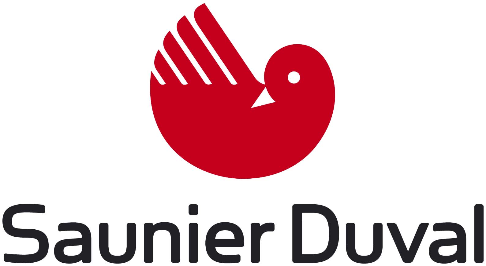 conoce las calderas saunier duval